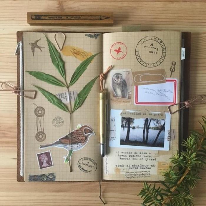quaderno-di-viaggio-erbario-pianta-verde-DIY-uccello-foto-crtolina-timbro-disegni-a-matita-citazioni