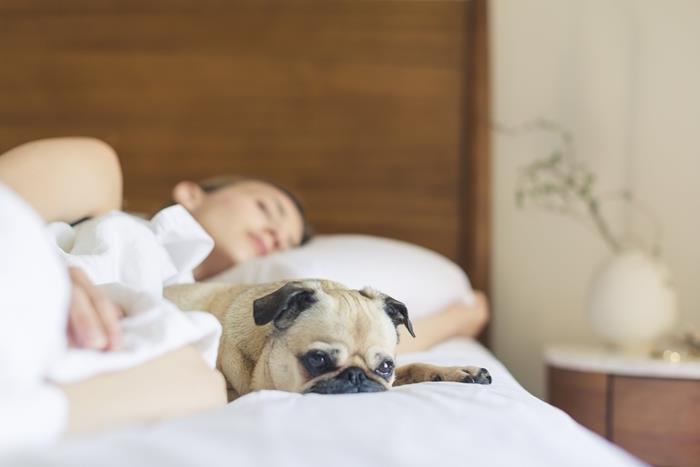 kakovostno spanje dobro spalnica izbira vzmetnice udobje učinkovitost zagotovljena trajnost spanja