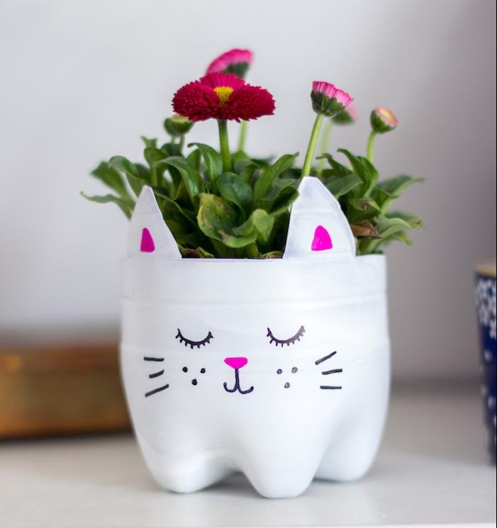 plastik şişelerle ne yapılır, kedi kafası şeklinde şişe kesilmiş çizim ve içine çiçekler dikilmiş, kolay ve hızlı manuel aktivite