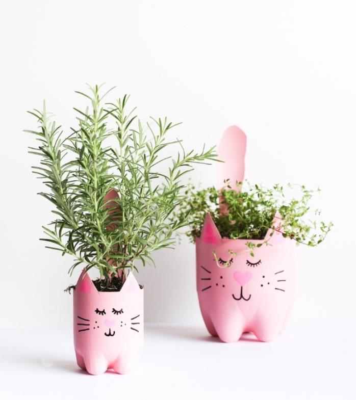 idėja, ką daryti su plastikiniais buteliais, gėlių vazonėliais, rožiniu katės galvos raštu, mielomis snieguolėmis, augalų žolelėmis, lengva pasidaryti