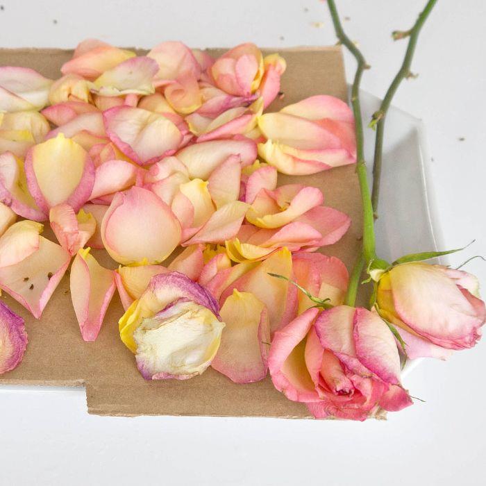 kaj storiti z cvetnimi listi vrtnic, kako posušiti vrtnico doma na prostem, da balzamira njeno notranjost