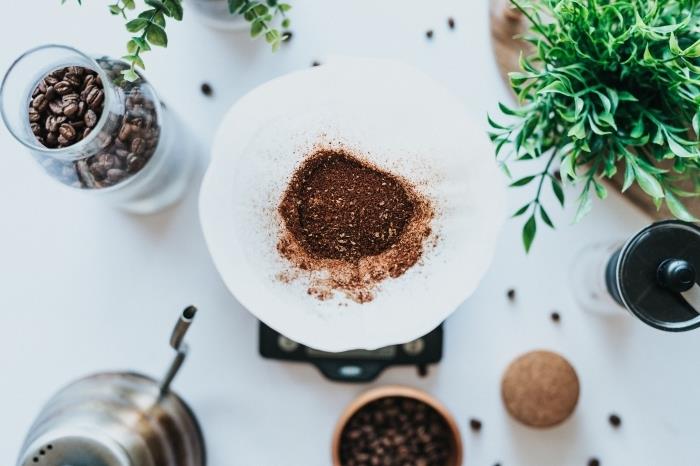 ką daryti prieš tarakonus kavos tirščiai naudokite sėklas kavos žoleles įrankiai virtuvė