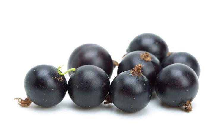 ką sodinti rugsėjo mėnesį-juodųjų serbentų vaisius