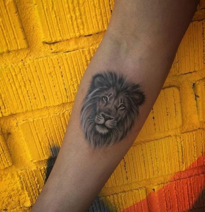 aslan dövmesi aslan dövmesi fikri aslan sanat dövmesi far dövme aslan dövmesi portre aslan