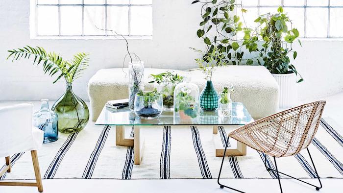 Skandinavski belo -zeleni dekor dnevne sobe z rastlinami v terarijih za rastline, črno -bela preproga, lesena in steklena miza