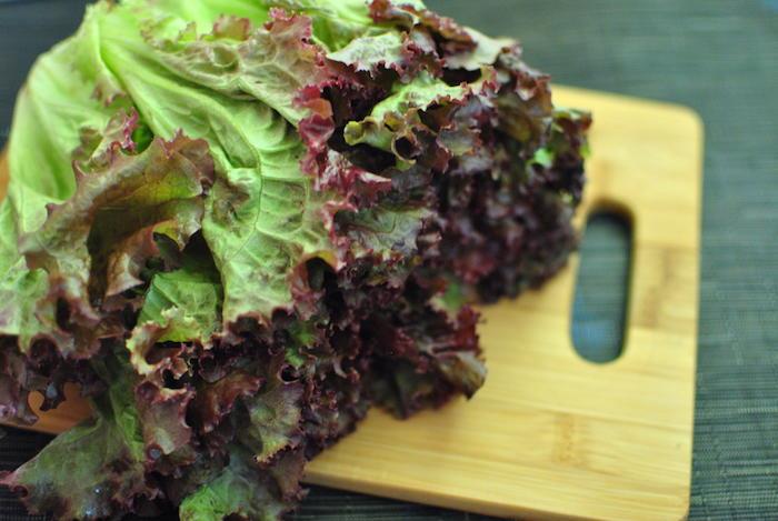 ką sodinti rugsėjo mėnesį-daržovių salotas-ąžuolo lapą