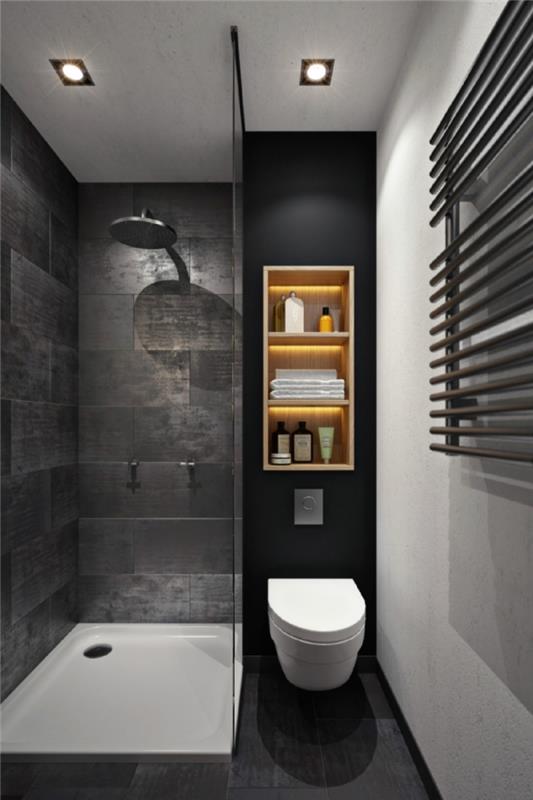 postavitev majhne kopalnice z WC -jem, navpični model za shranjevanje in mat črna stenska barva