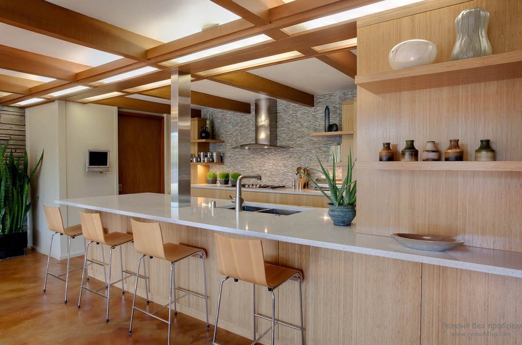 Interior de cocina con plantas verdes.