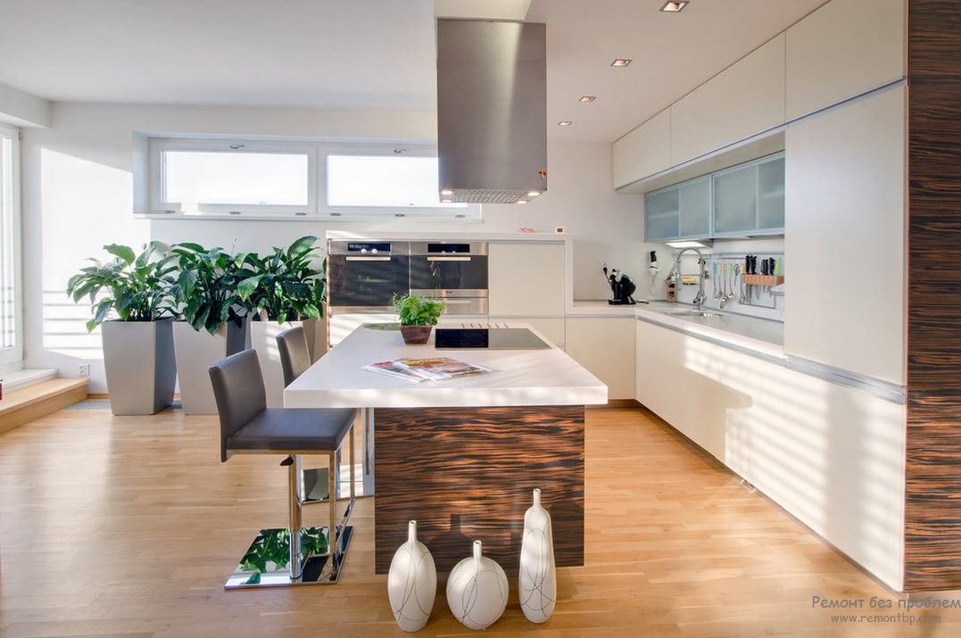 Piante all'interno della cucina