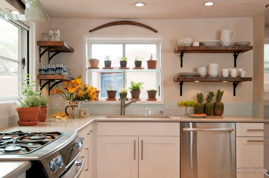 Pequeñas plantas en el interior de la cocina.