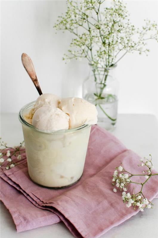 naminių vanilinių ledų receptas be lengvos ir kreminės tekstūros ledų gamintojo