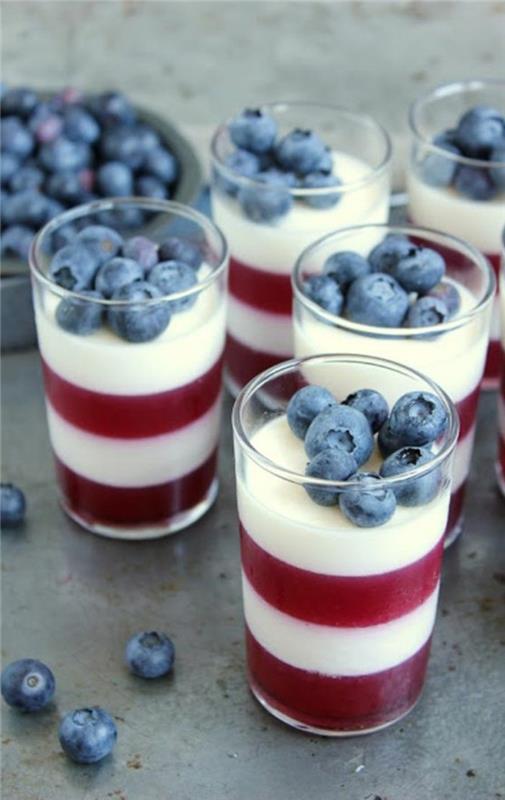 panna-cotta-coulis-tarifler