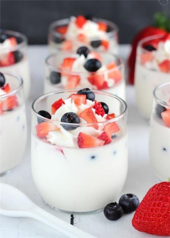 panna-cotta-vanilya-krema-ve-kırmızı dut-yemek tarifleri
