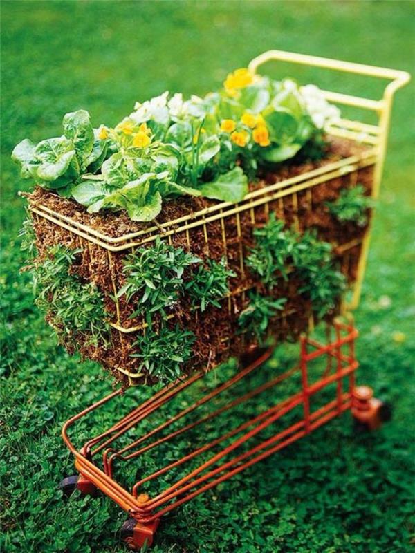 recikliranje caddyja, da sami naredite izviren zelenjavni vrt, kako urediti svoj ustvarjalni vrt