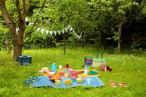 Parko piknikas - pikniko daiktai ant žolės