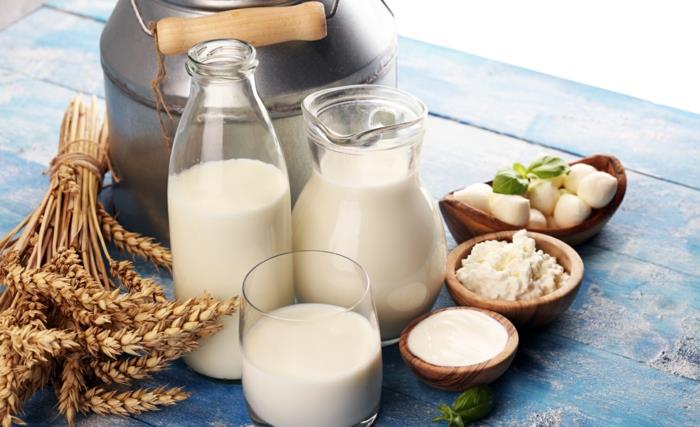sredozemska prehrana mlečni izdelki mleko v steklenici sir v skodelici