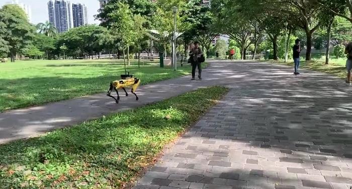 Robot Spot Boston Dynamics opozarja pohodnike, naj se držijo varne razdalje, da omejijo širjenje covida 19