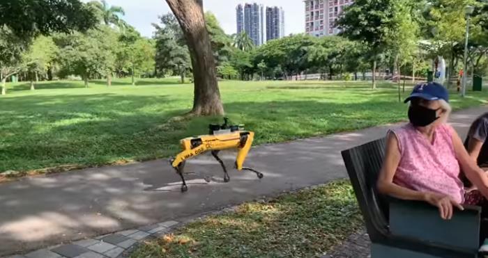 Covid-19, robot pes, ki je uveljavljal socialno distanciranje v parku v Singapurju