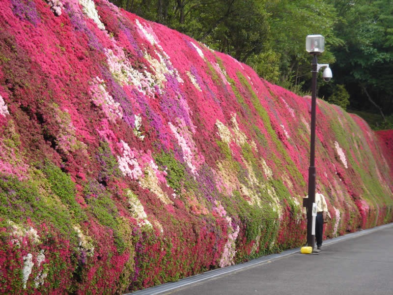 Decoração de cerca com flores