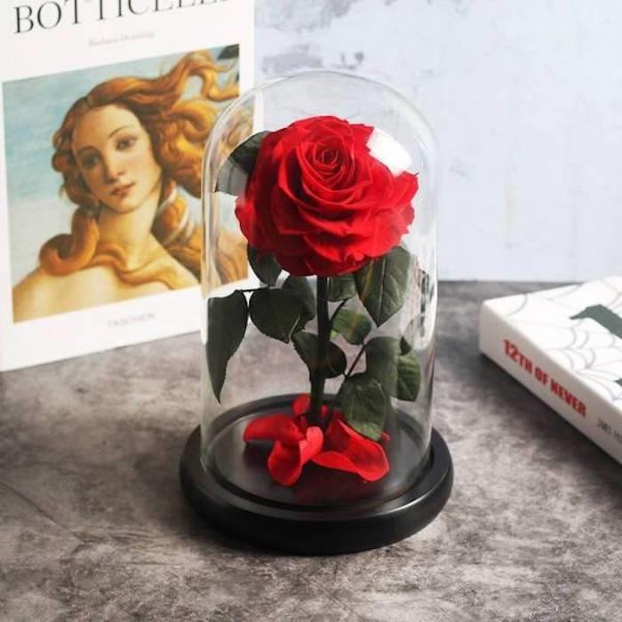 primer večne vrtnice pod rdečim zvonom, ideja za darilo za Valentinovo za ženske