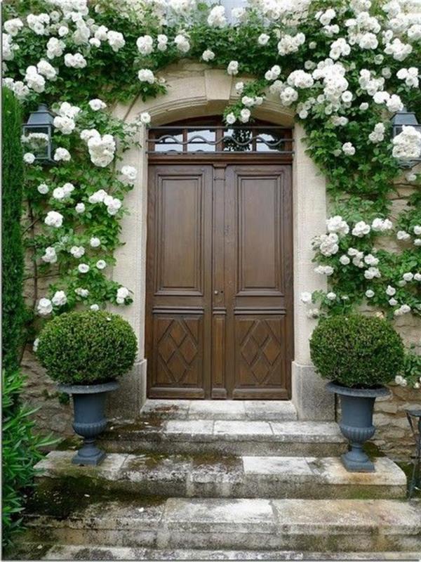 bele vrtnice-plezanje-rastlina-senca-bela-vrtnica-temno-les-vhodna vrata