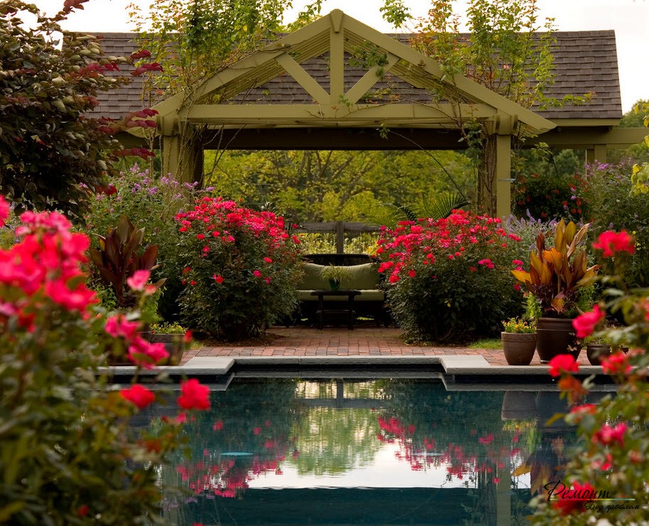 Rose intorno alla piscina