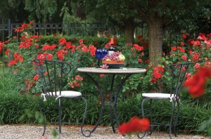Rose rosse