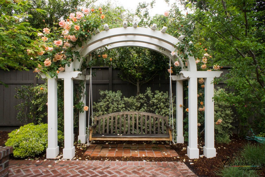Arco e rose