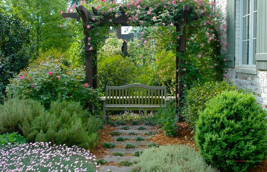 Rosa riccia su arco in legno