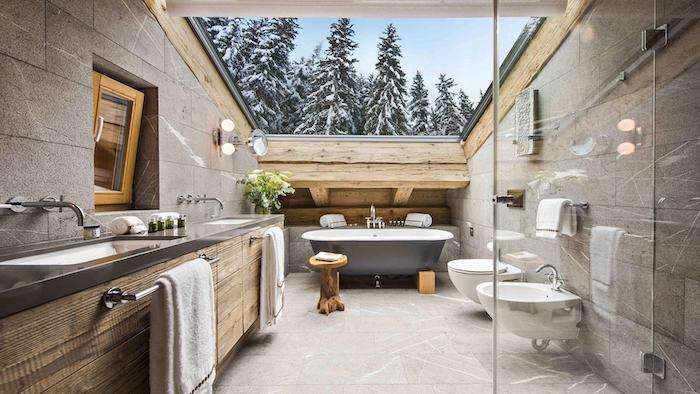 Bir dağ evinde, rustik tarzda banyo ve lavaboda bir tasarımcı banyosunun muhteşem manzarası