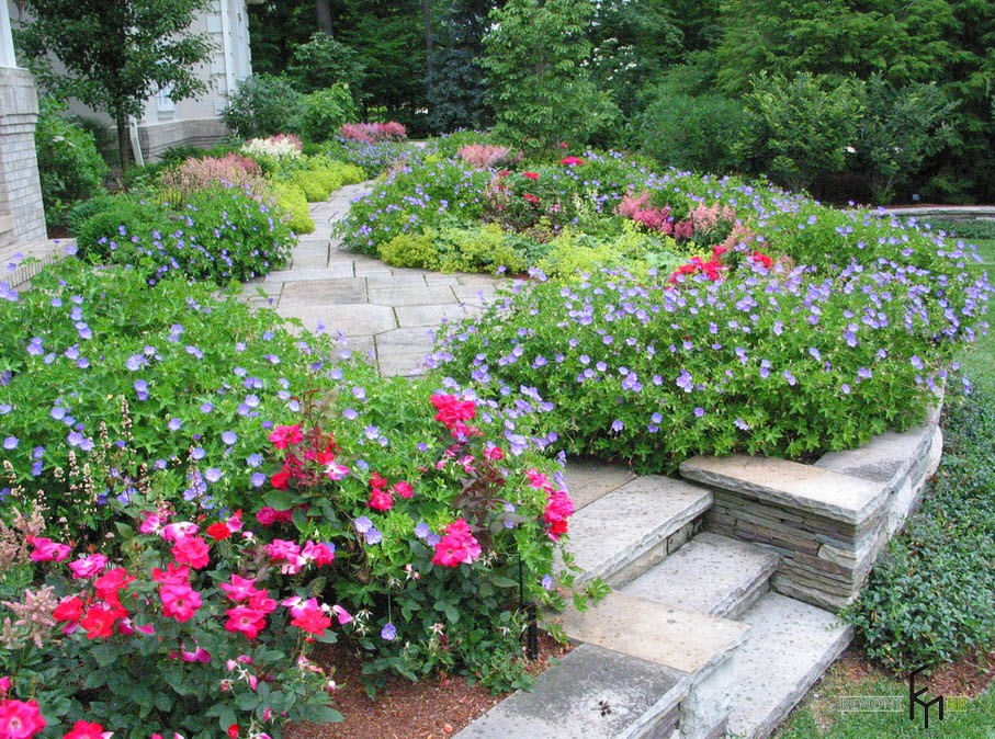 Percorsi insoliti del giardino