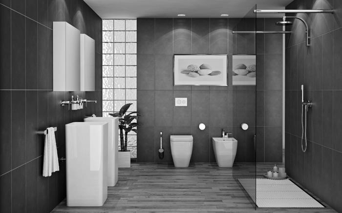 antrasit gri fayanslar ve beyaz mobilyalar ile modern iki tonlu banyo dekorasyonu, banyo için hangi bitki