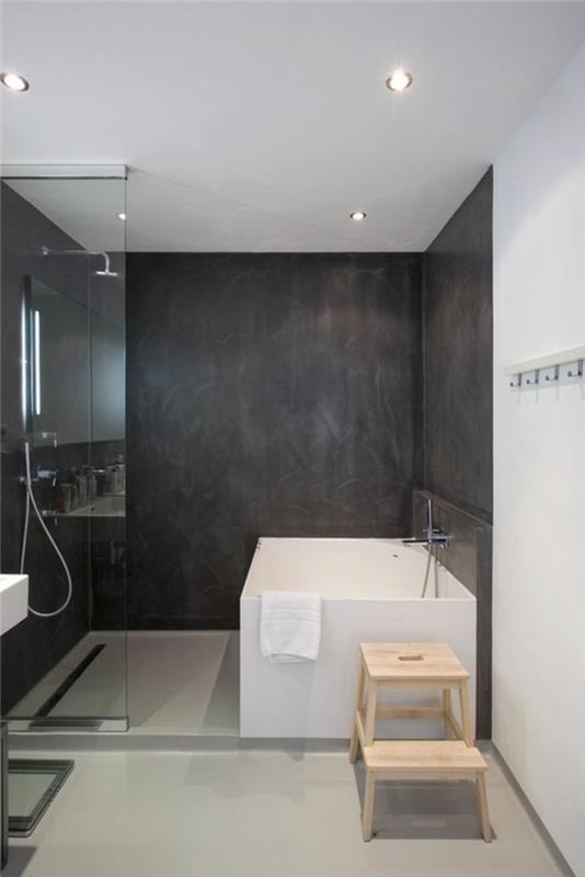 vonios kambarys su balta ir juoda-balta lubų siena-antracito pilka-stačiakampė vonia