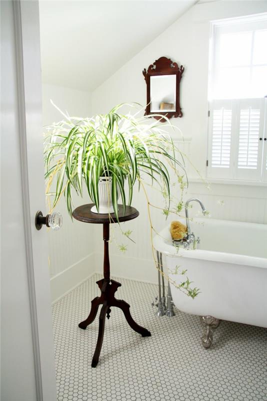 žalias ir baltas augalas, nukaręs augalas, vonios kambarys ant apvalaus rudo medinio augalo laikiklio, šešiakampės grindų plytelės, balta vonia su sidabro spalvos baroko kojomis, šviesi zona su langu