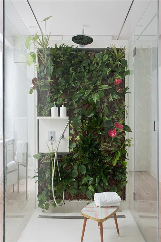 kabantis augalas, kambarinių augalų atspalvis, žalia siena duše, atogrąžų atmosfera, kabantis augalas, žalias vonios kambarys