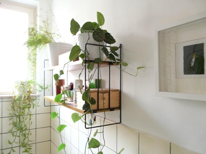 juodo metalo ir šviesios medienos augalų lentyna, baltos sienos ir dramblio kaulo spalvos plytelės, balto rėmo stalas, laipiojimo augalas patalpose