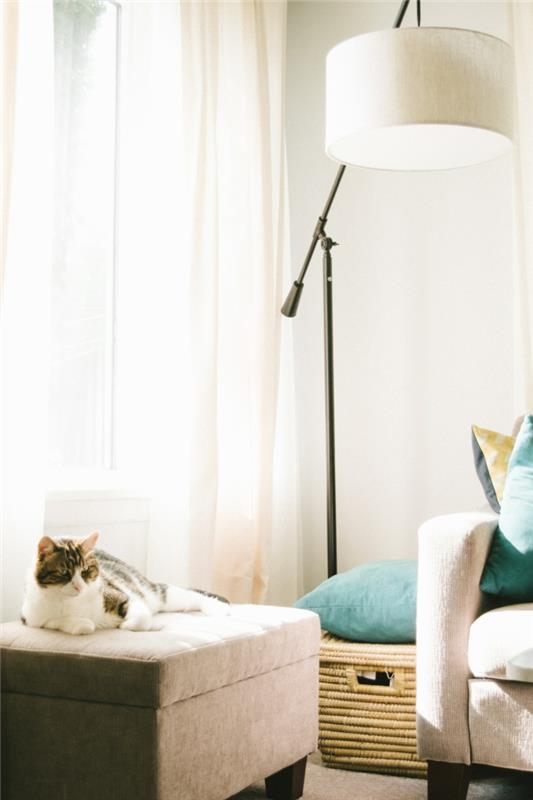 Cat zen tapetai, gražūs tapetai, jaustis gerai namuose pilka sofa