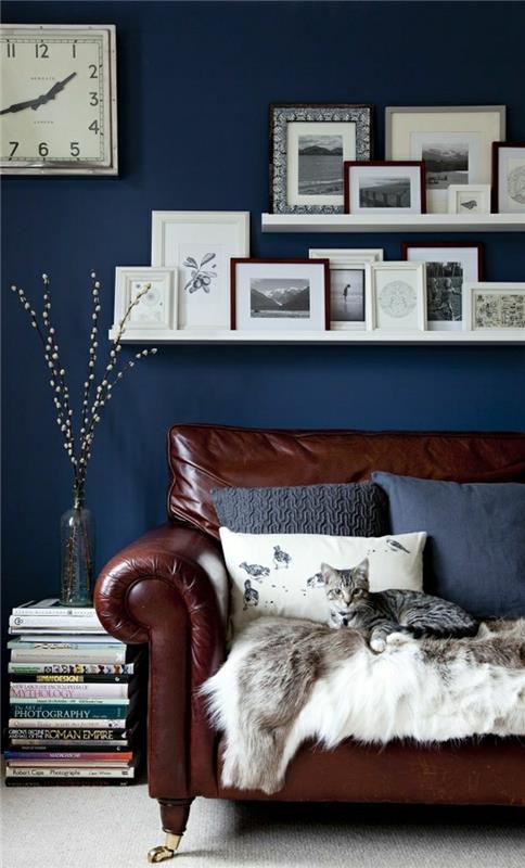 svetainė-oda-tamsiai ruda-paveikslai-mėlyna siena-katė-ruda-gėlė-sofa