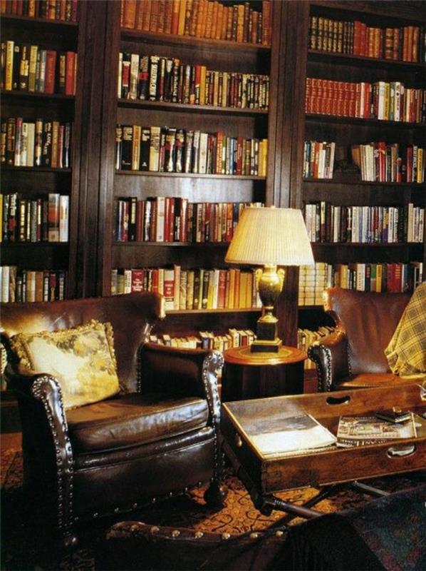 svetainė-fotelis-tamsiai ruda-odinė knygų spinta-medyje-tamsiai ruda-knygos