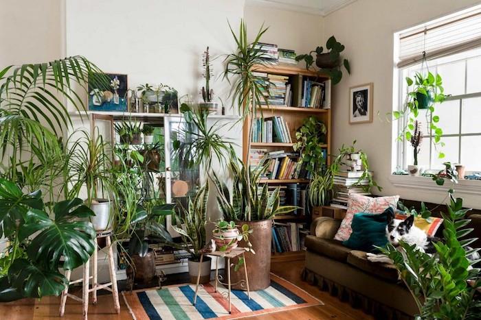 Kitaplar ve yeşil bitkilerle dolu raflar ve kitaplık, bohem şık yatak odası bitkisi fikri, kirletici ev bitkisi,