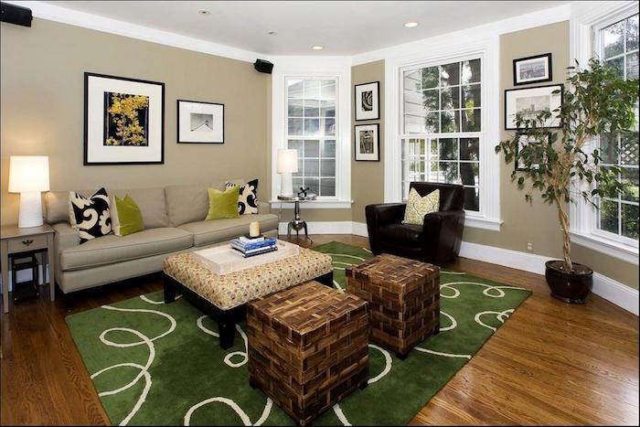 beyaz ve taupe ve yeşil oturma odası boya renk kombinasyonu