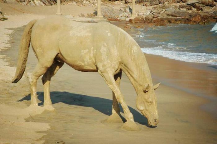 pesek-kiparstvo-pitna voda za konje