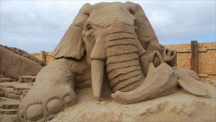 kip velikan-slon-pesek