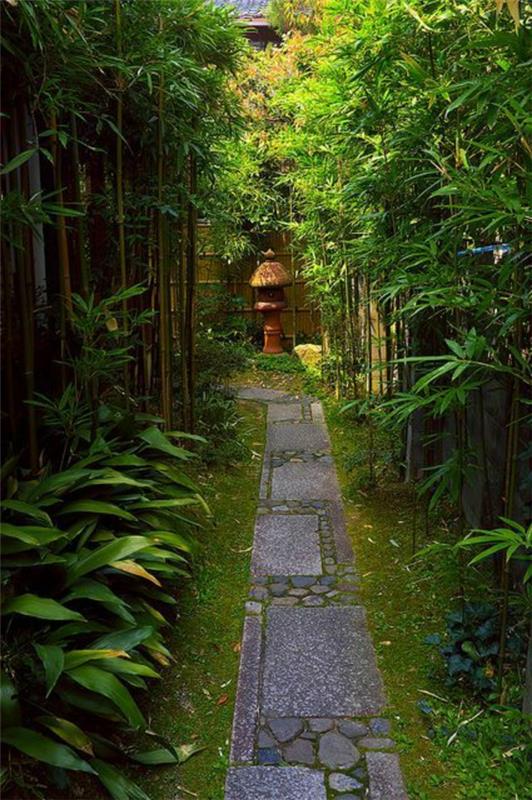 Japonsko-bambus-vrtna pot