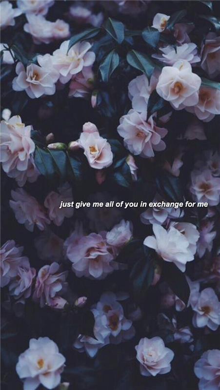 Effetti fotoğraf stili tumblr, fotografia di fiori, foto con scritta