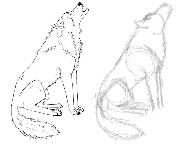 kako narisati volka z risbo in skico, narisati zavijajočega volka iz skice silhuete volka