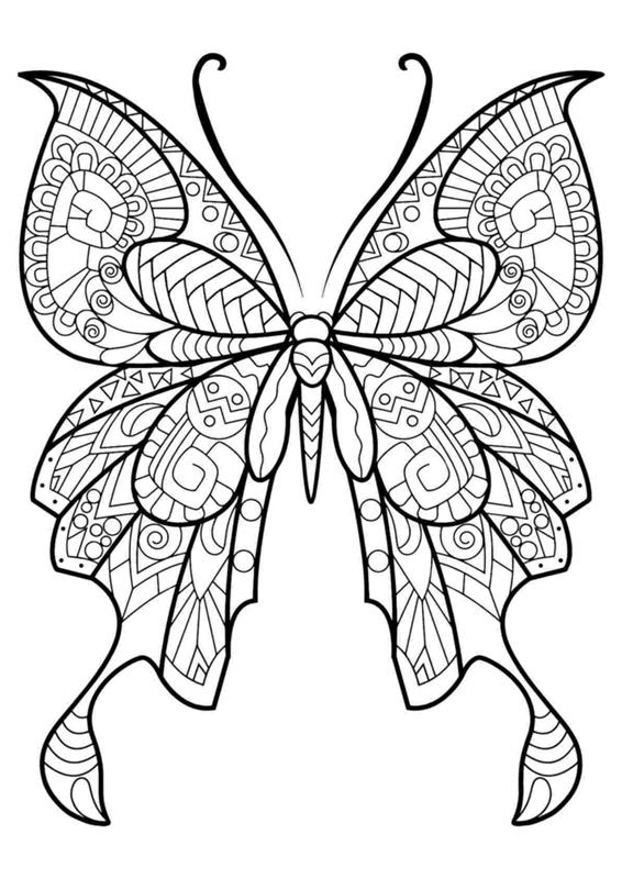 Kaip piešti drugelį Kaip piešti drugelį, paprastas gyvūnų piešinys