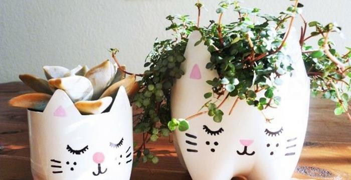 büyük ve küçük beyaz saksılar, elle boyanmış kedi yüzleri, her biri farklı bir bitki içeren eğlenceli ve kolay el sanatları