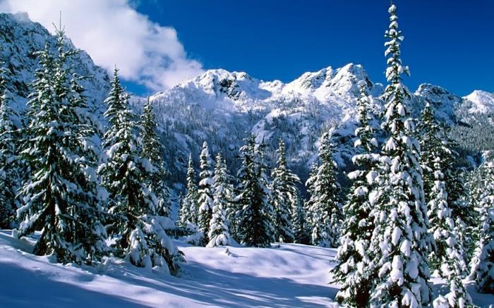 alpes-kayak-tatil-doğa-güzel-profesyonel-fotoğraf iğneleri