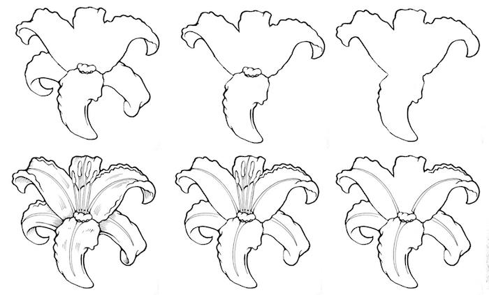 korak za korakom kul črno -beli cvet lilije, barvno risbo ročne risbe enostavno reproducirati po korakih